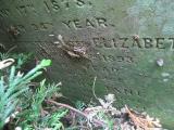 image of grave number 664096